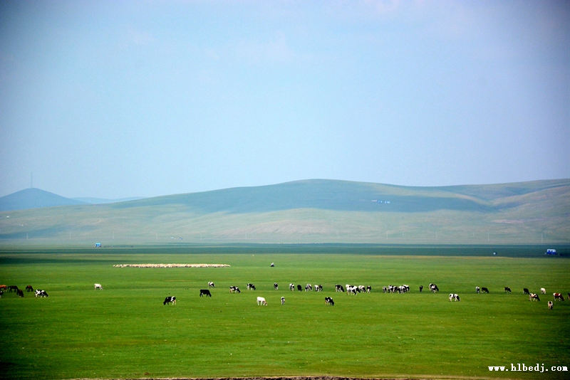呼倫貝爾草原.jpg