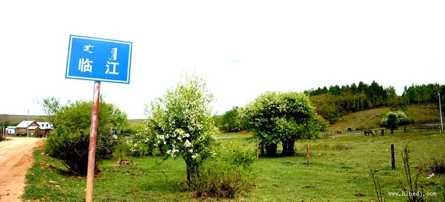 呼倫貝爾臨江屯.jpg