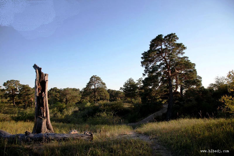 海拉爾西山公園